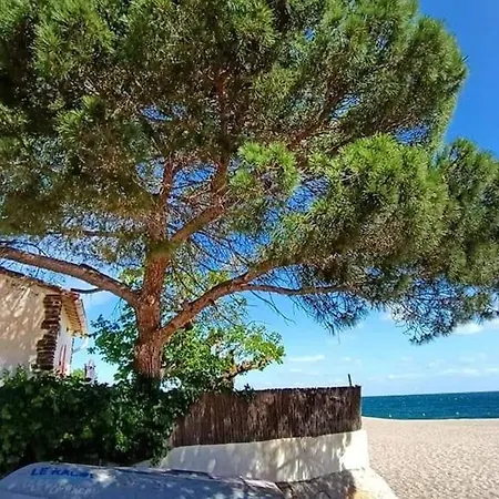 Appartement Climatisé 4 Pers, Proche Et Commerces - Fr-1-776-87 *